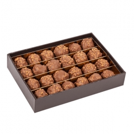 Mini Rochers Pralinés au Chocolat au Lait (Coffret de 240g) - DARDENNE